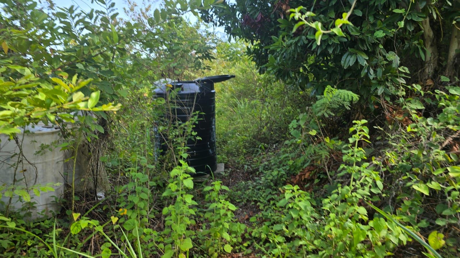 Twenty-Seventh image of Pleasant Hill in Pleasant Hill, St. Thomas, Jamaica - property is For Sale