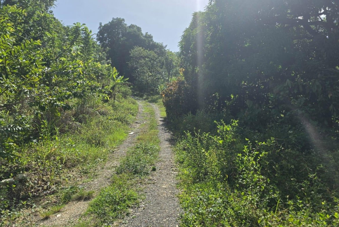 Twenty-Eighth image of Pleasant Hill in Pleasant Hill, St. Thomas, Jamaica - property is For Sale