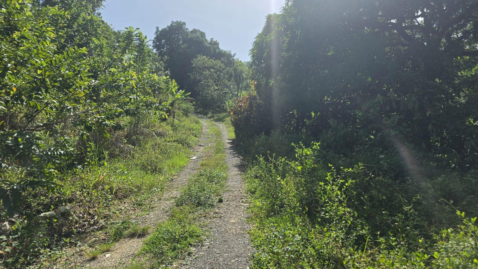 Twenty-Eighth image of Pleasant Hill in Pleasant Hill, St. Thomas, Jamaica - property is For Sale