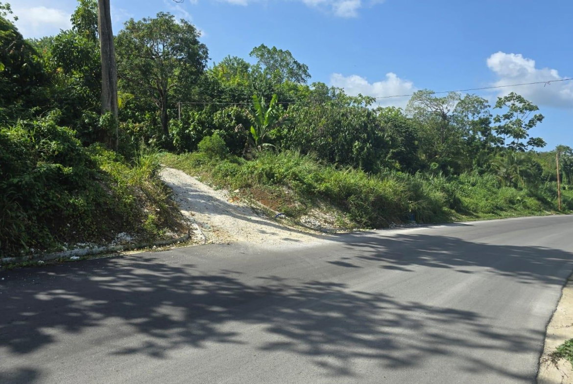 Fourth image of Pleasant Hill in Pleasant Hill, St. Thomas, Jamaica - property is For Sale