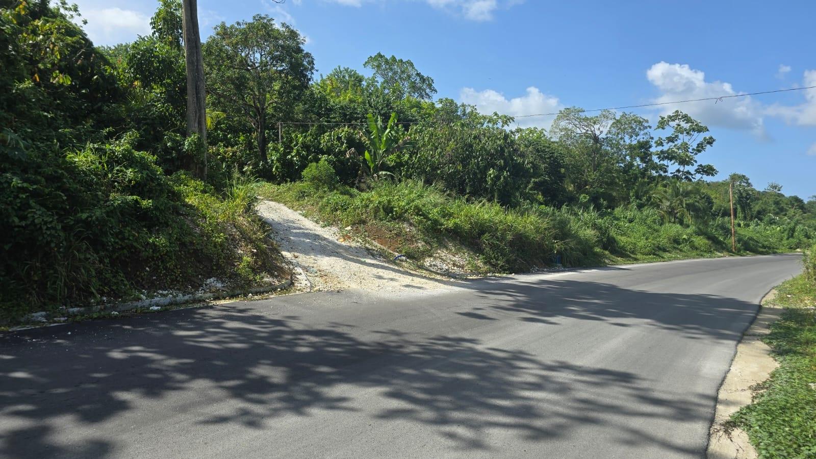Fourth image of Pleasant Hill in Pleasant Hill, St. Thomas, Jamaica - property is For Sale