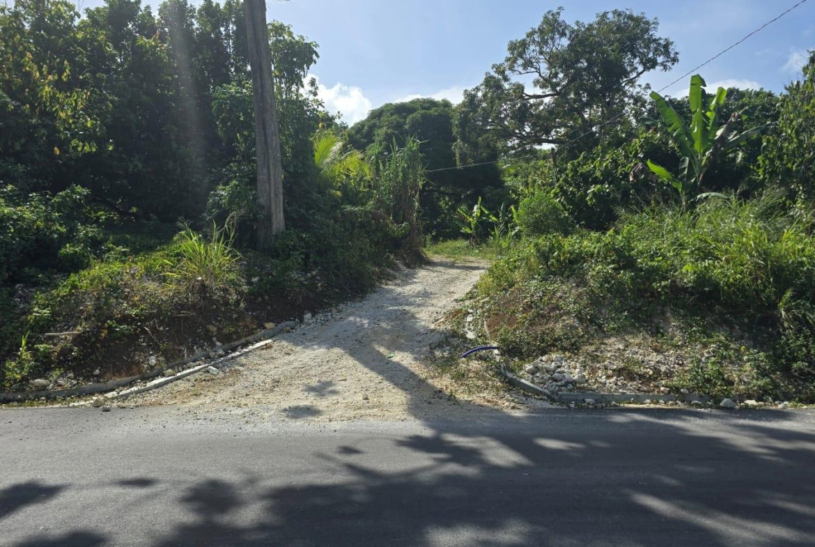 Fifth image of Pleasant Hill in Pleasant Hill, St. Thomas, Jamaica - property is For Sale
