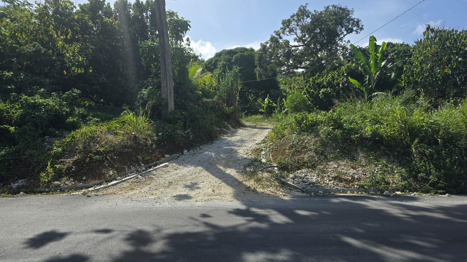 Fifth image of Pleasant Hill in Pleasant Hill, St. Thomas, Jamaica - property is For Sale