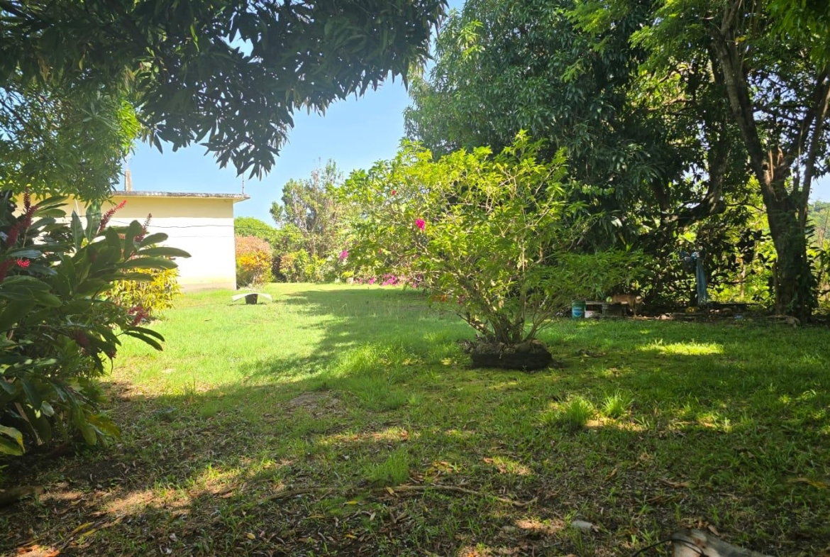 Seventh image of Pleasant Hill in Pleasant Hill, St. Thomas, Jamaica - property is For Sale