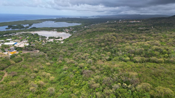 Thirteenth image of Salt Marsh in Salt Marsh, Trelawny, Jamaica - property is For Sale