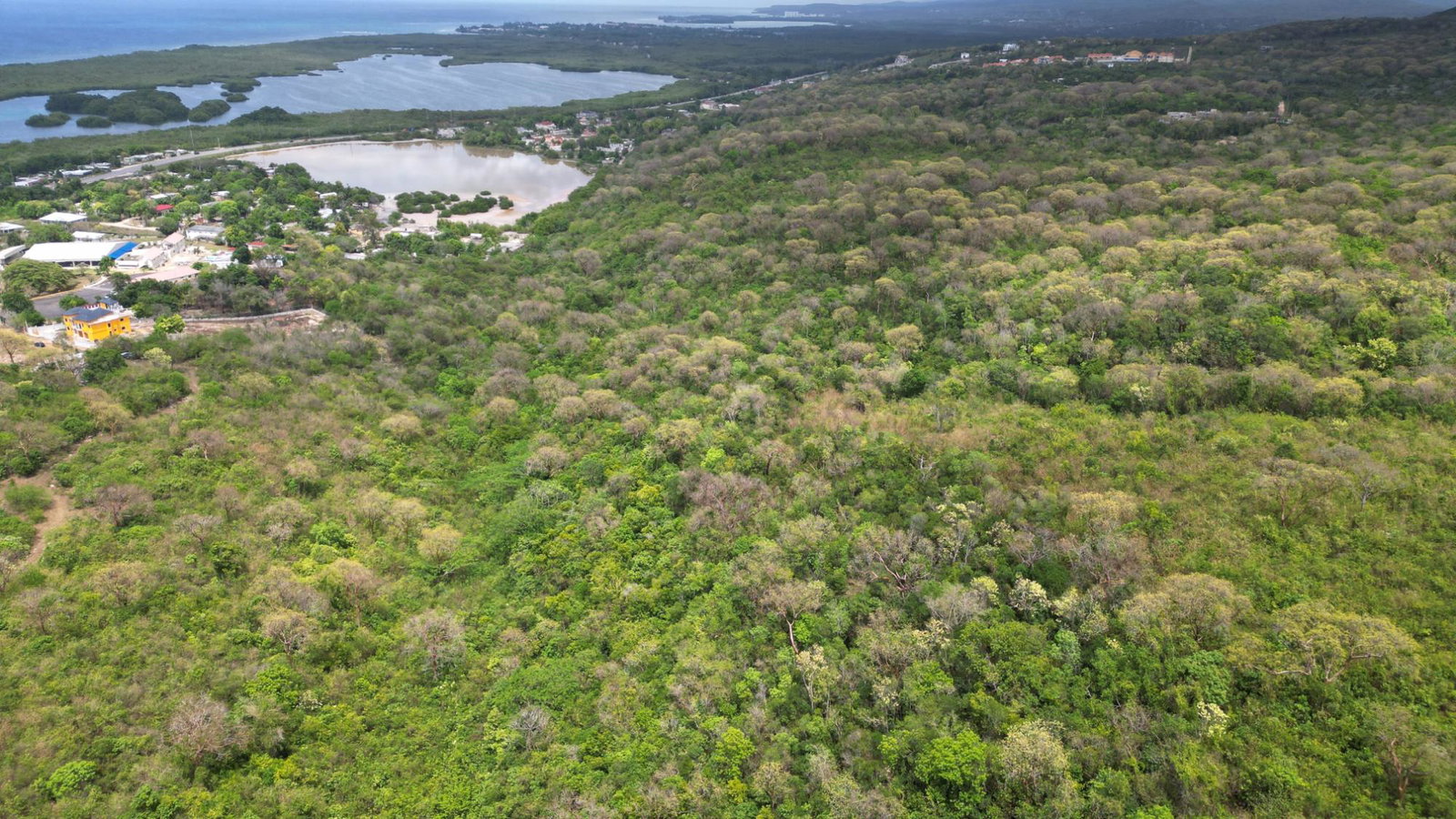 Fifteenth image of Salt Marsh in Salt Marsh, Trelawny, Jamaica - property is For Sale