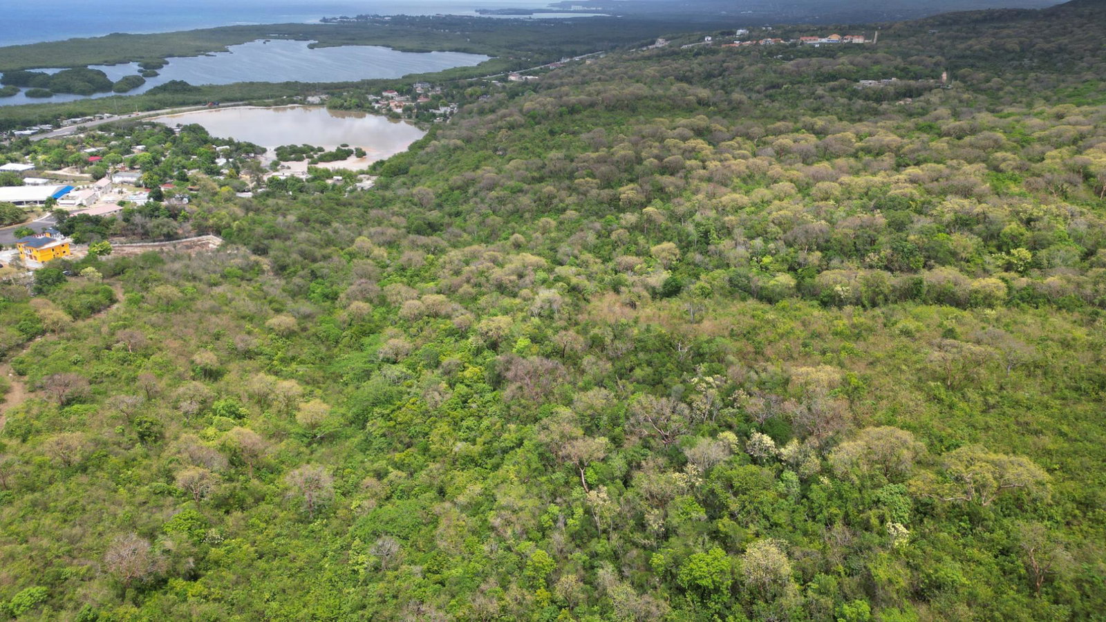 Sixteenth image of Salt Marsh in Salt Marsh, Trelawny, Jamaica - property is For Sale
