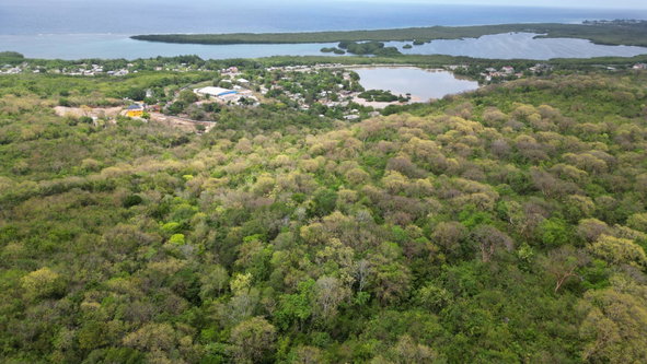Seventeenth image of Salt Marsh in Salt Marsh, Trelawny, Jamaica - property is For Sale
