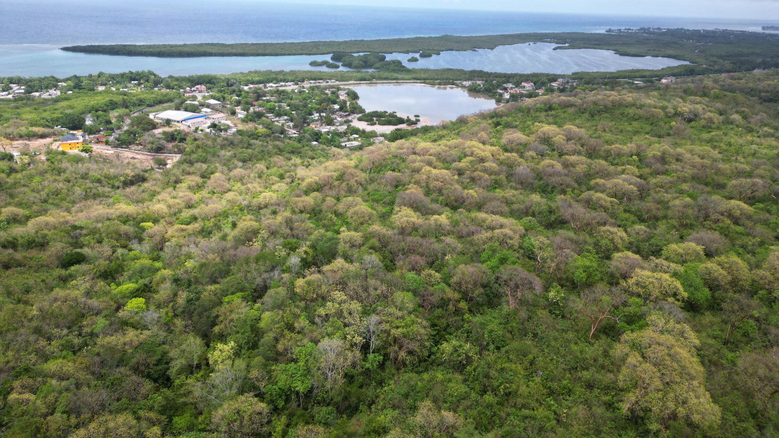 Nineteenth image of Salt Marsh in Salt Marsh, Trelawny, Jamaica - property is For Sale