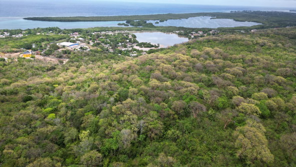 Nineteenth image of Salt Marsh in Salt Marsh, Trelawny, Jamaica - property is For Sale