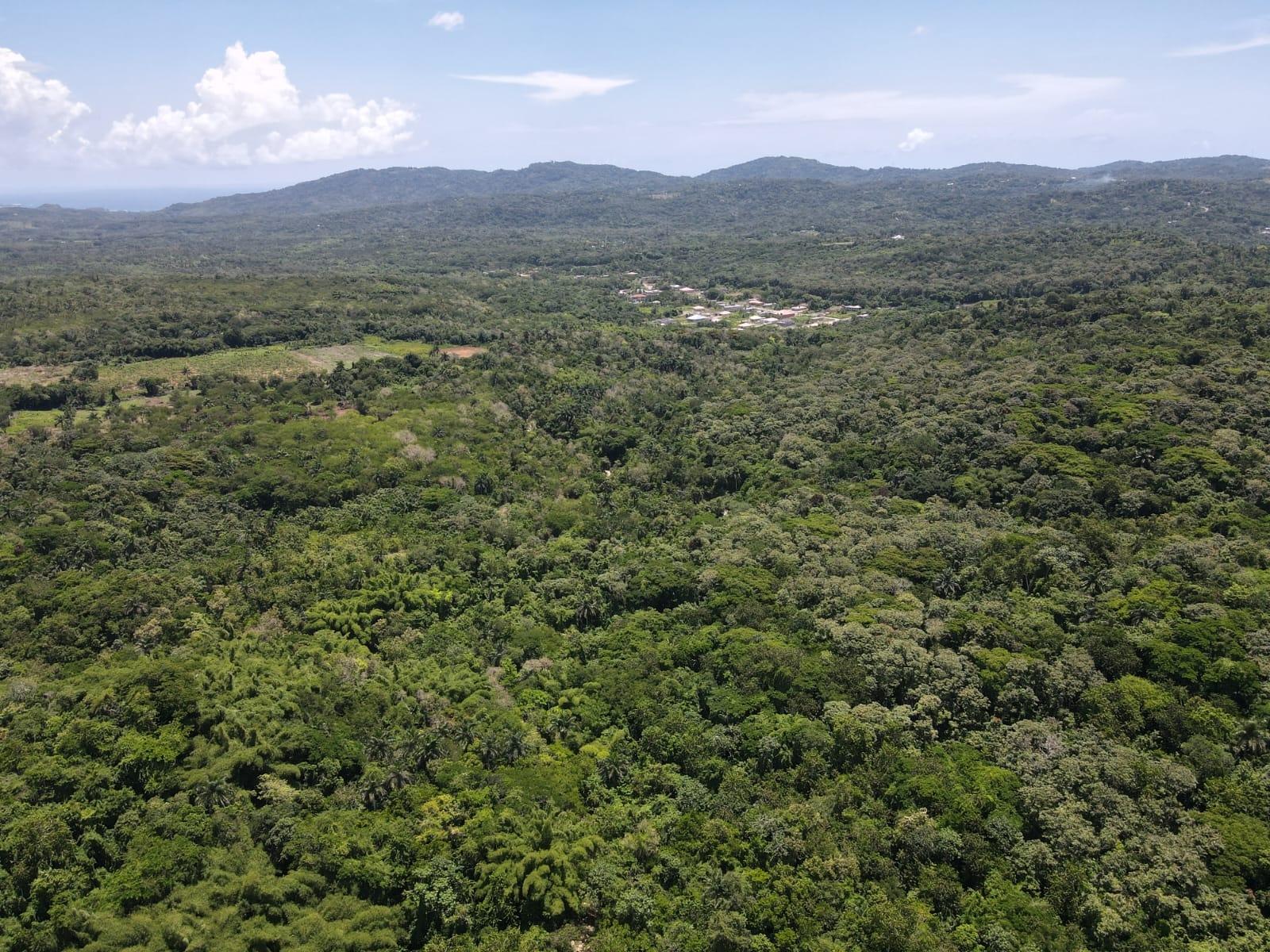 Second image of 2 Nonsuch, St. Mary in Highgate, St. Mary, Jamaica - property is For Sale
