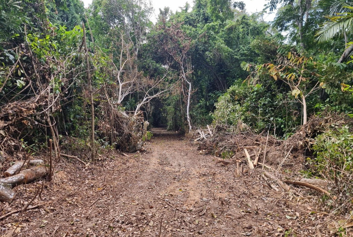 First image of 2 Nonsuch, St. Mary in Highgate, St. Mary, Jamaica - property is For Sale