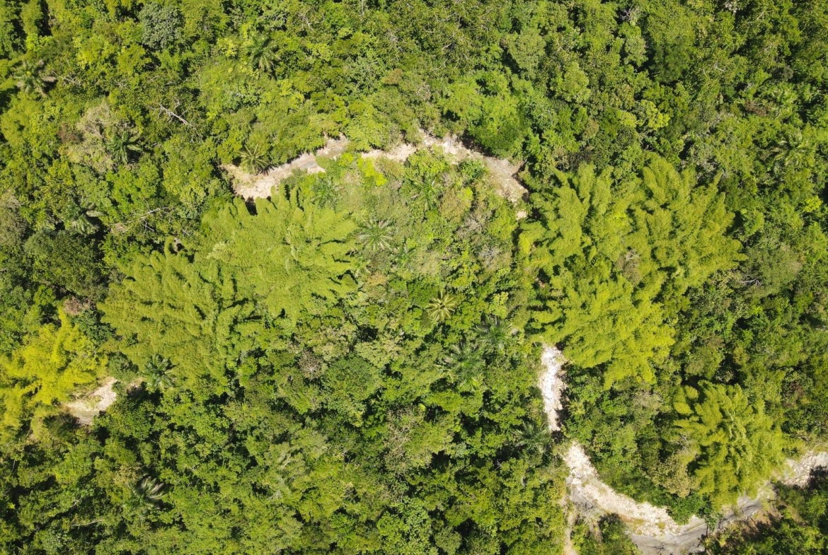 Fourth image of 2 Nonsuch, St. Mary in Highgate, St. Mary, Jamaica - property is For Sale