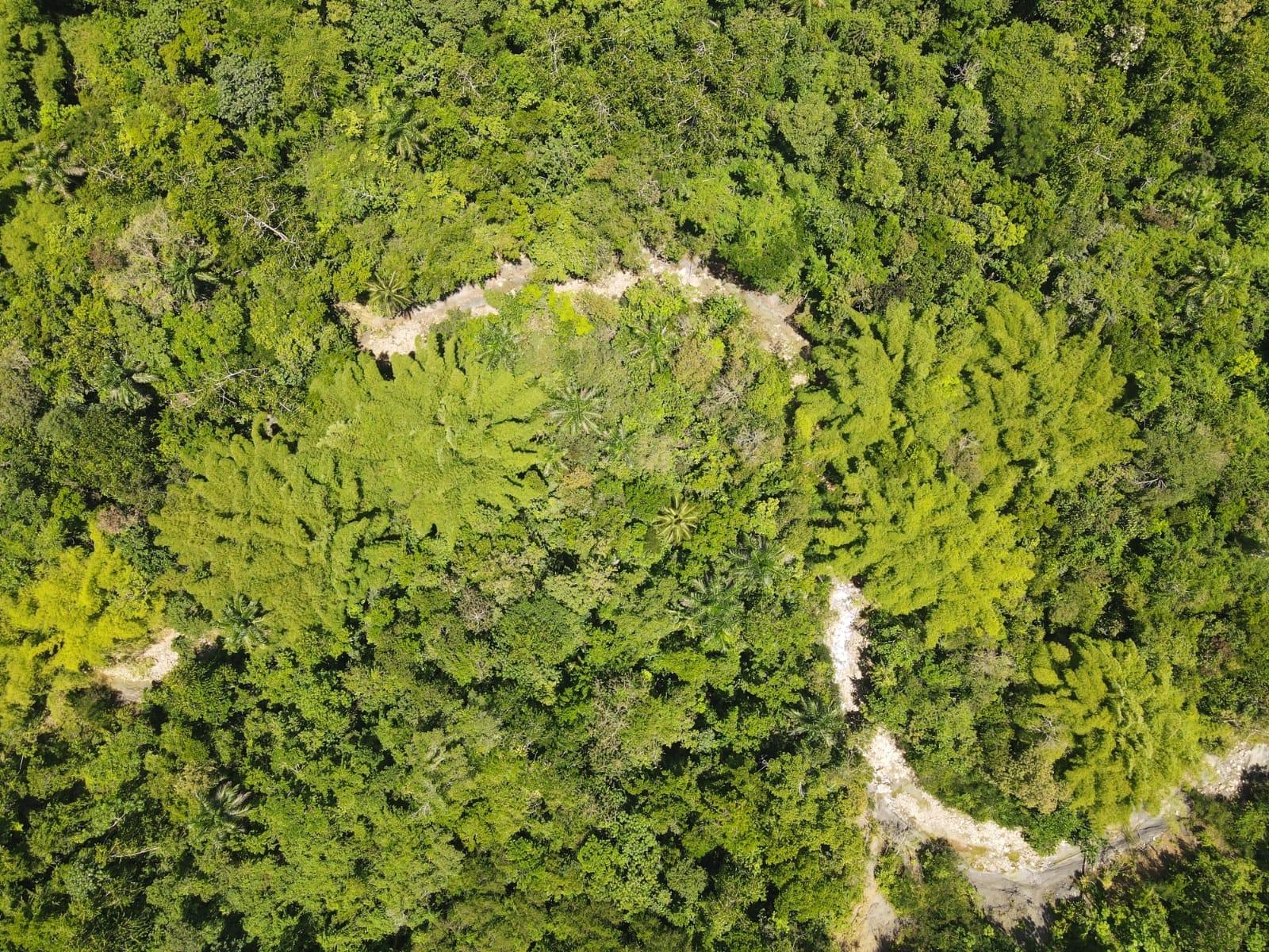 Fourth image of 2 Nonsuch, St. Mary in Highgate, St. Mary, Jamaica - property is For Sale