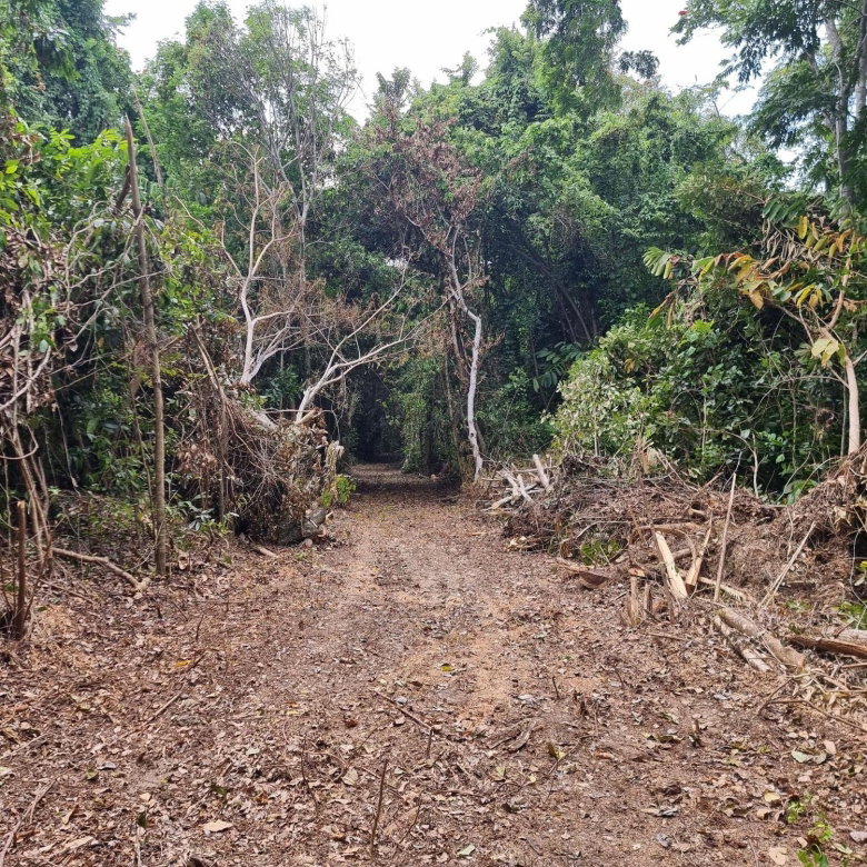 First image of 2 Nonsuch, St. Mary in Highgate, St. Mary, Jamaica - property is For Sale