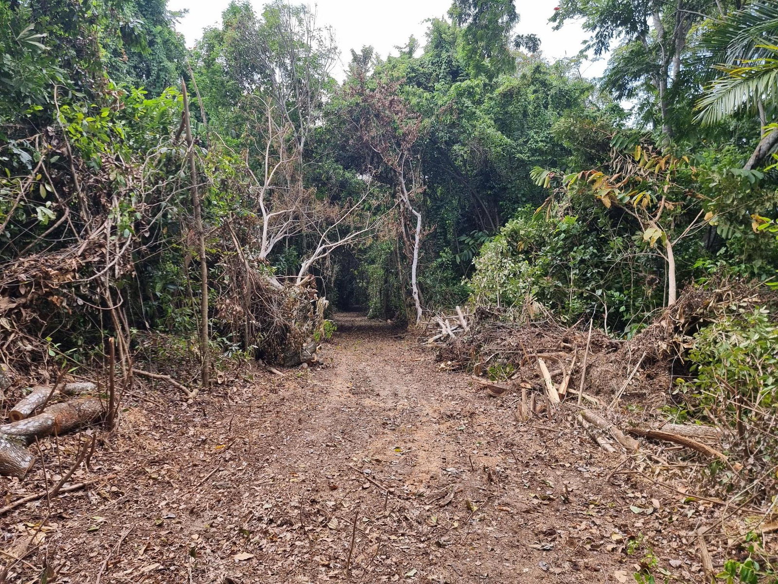 First image of 2 Nonsuch, St. Mary in Highgate, St. Mary, Jamaica - property is For Sale