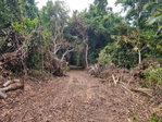 First image of 2 Nonsuch, St. Mary in Highgate, St. Mary, Jamaica - property is For Sale