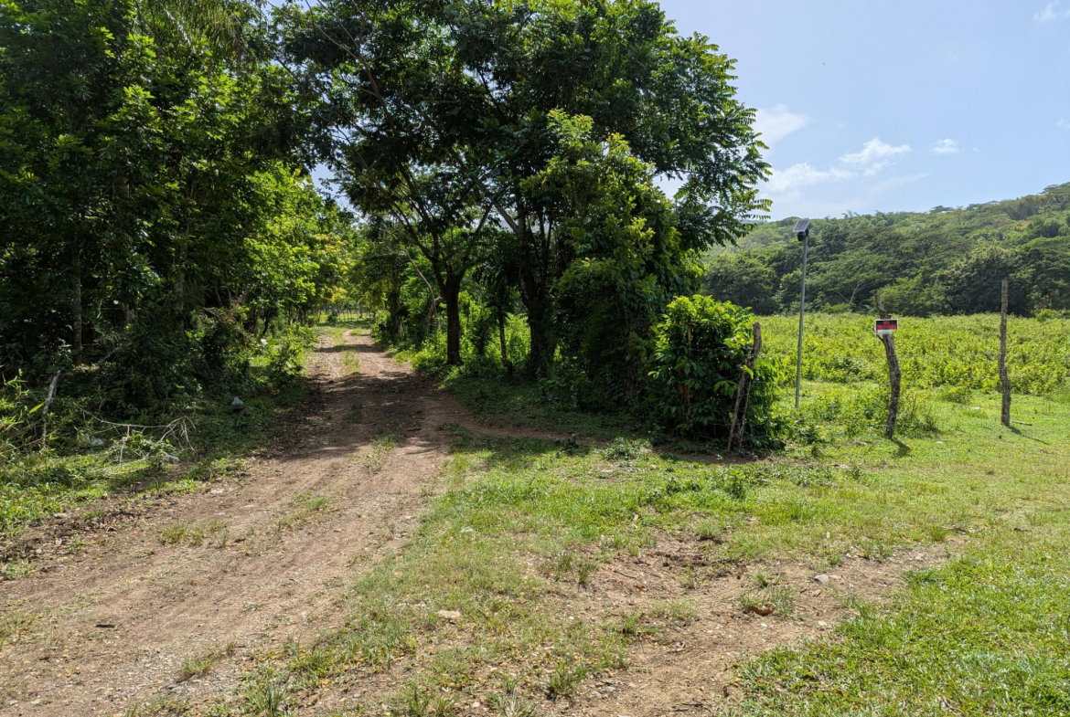 Second image of 15 Blue Mtn. Danvers Pen in Danvers Pen, St. Thomas, Jamaica - property is For Sale