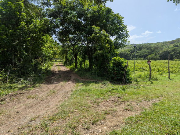 Second image of 15 Blue Mtn. Danvers Pen in Danvers Pen, St. Thomas, Jamaica - property is For Sale