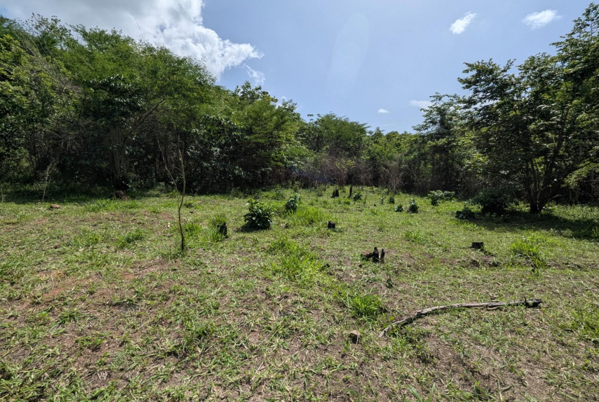 Twelfth image of 15 Blue Mtn. Danvers Pen in Danvers Pen, St. Thomas, Jamaica - property is For Sale