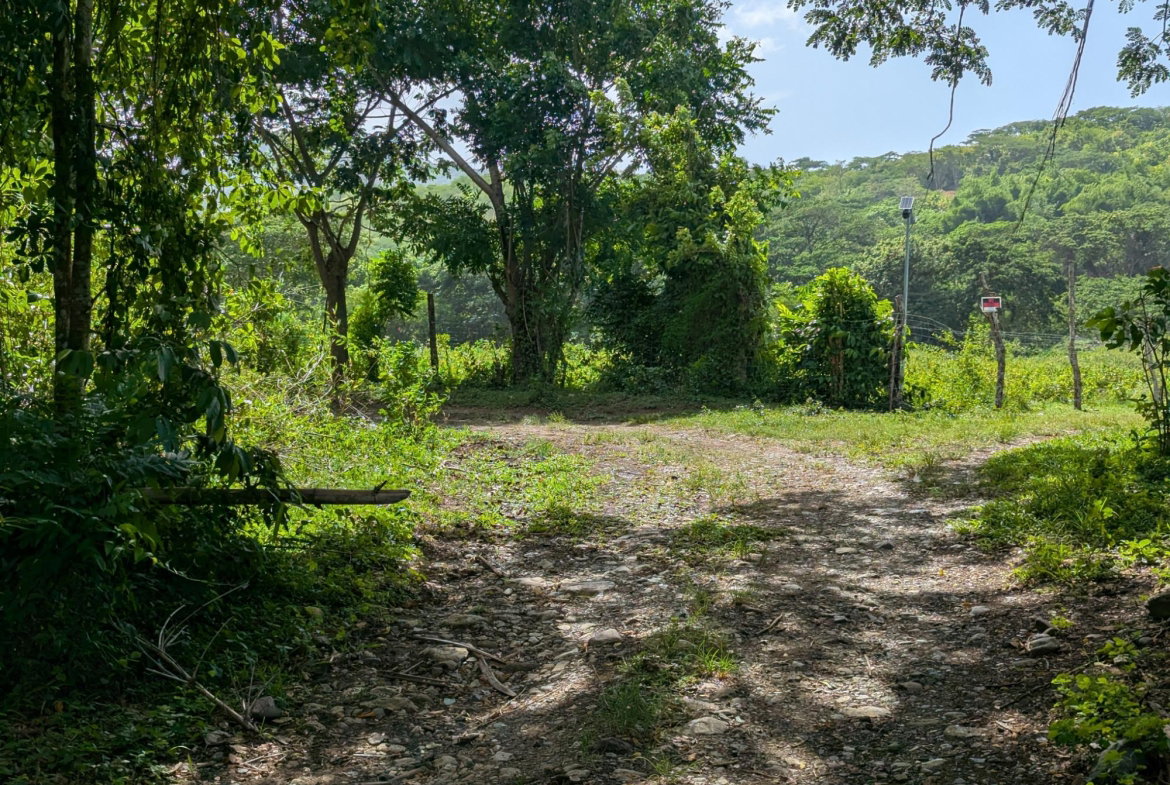 First image of 15 Blue Mtn. Danvers Pen in Danvers Pen, St. Thomas, Jamaica - property is For Sale