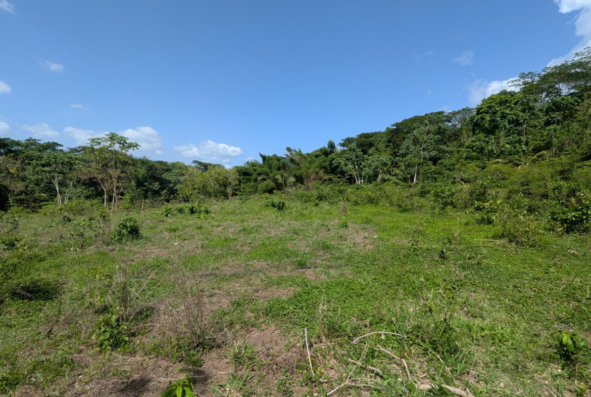 Thirteenth image of 15 Blue Mtn. Danvers Pen in Danvers Pen, St. Thomas, Jamaica - property is For Sale