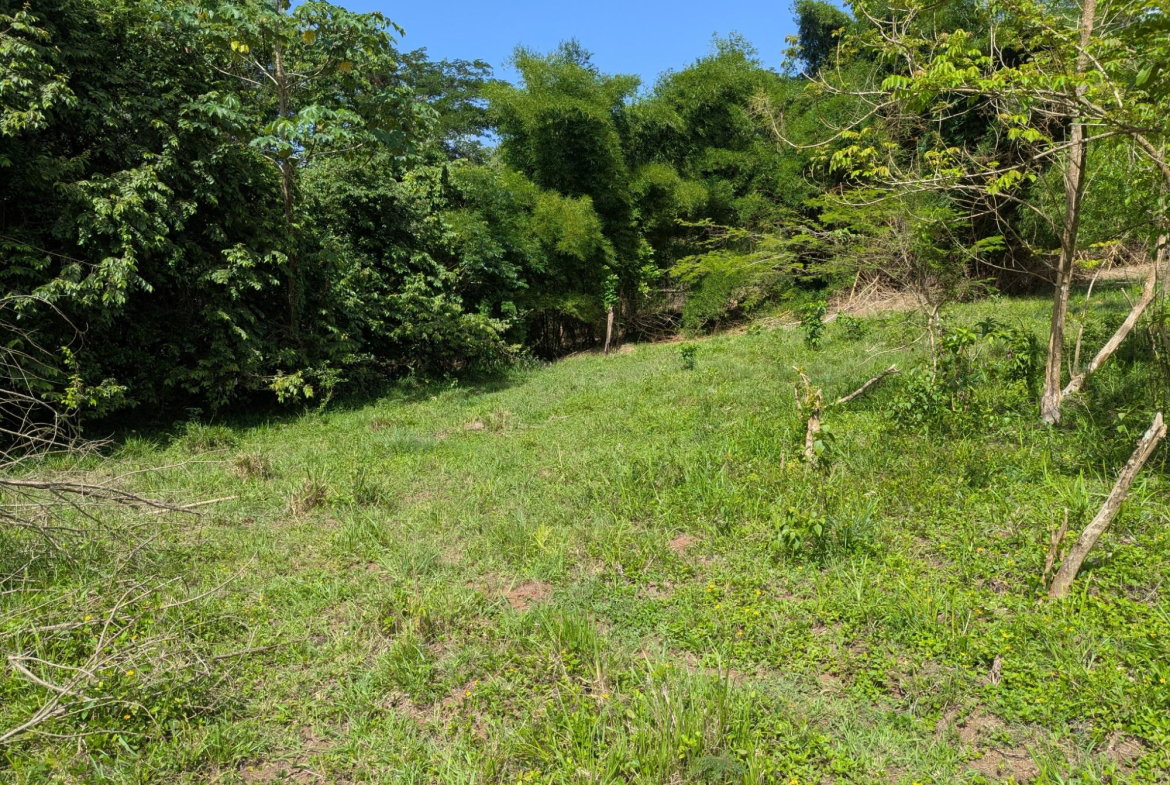 Fourteenth image of 15 Blue Mtn. Danvers Pen in Danvers Pen, St. Thomas, Jamaica - property is For Sale