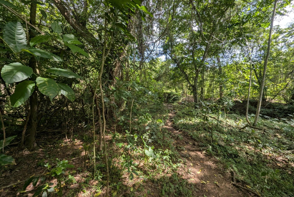 Fifteenth image of 15 Blue Mtn. Danvers Pen in Danvers Pen, St. Thomas, Jamaica - property is For Sale