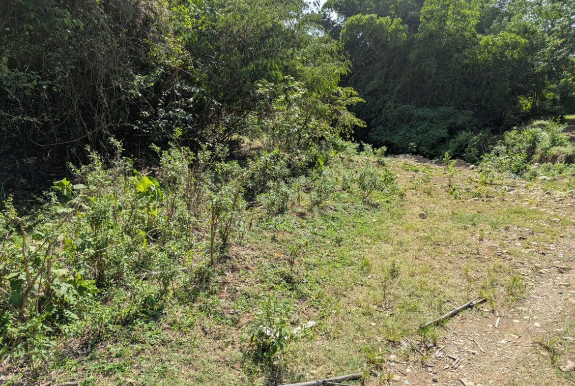 Twentieth image of 15 Blue Mtn. Danvers Pen in Danvers Pen, St. Thomas, Jamaica - property is For Sale