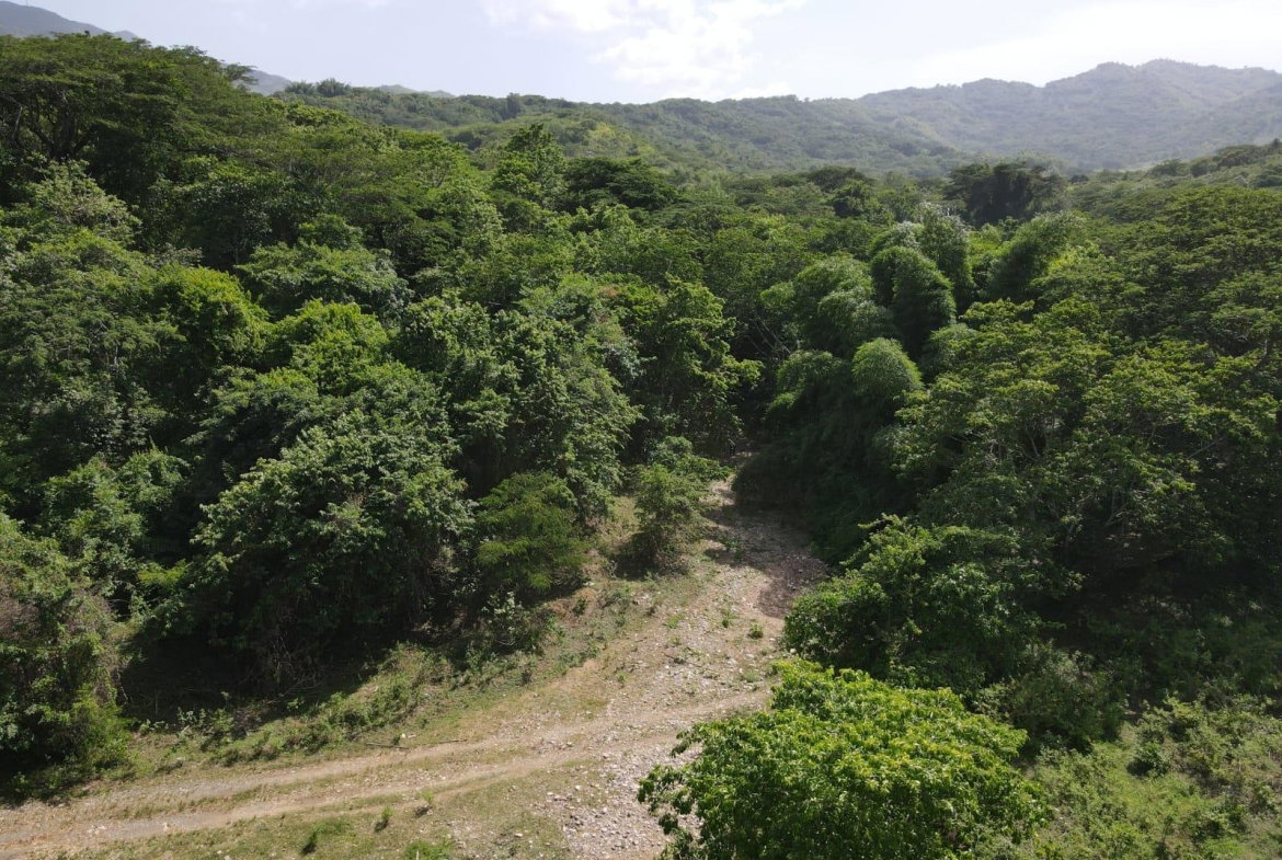 Third image of 15 Blue Mtn. Danvers Pen in Danvers Pen, St. Thomas, Jamaica - property is For Sale