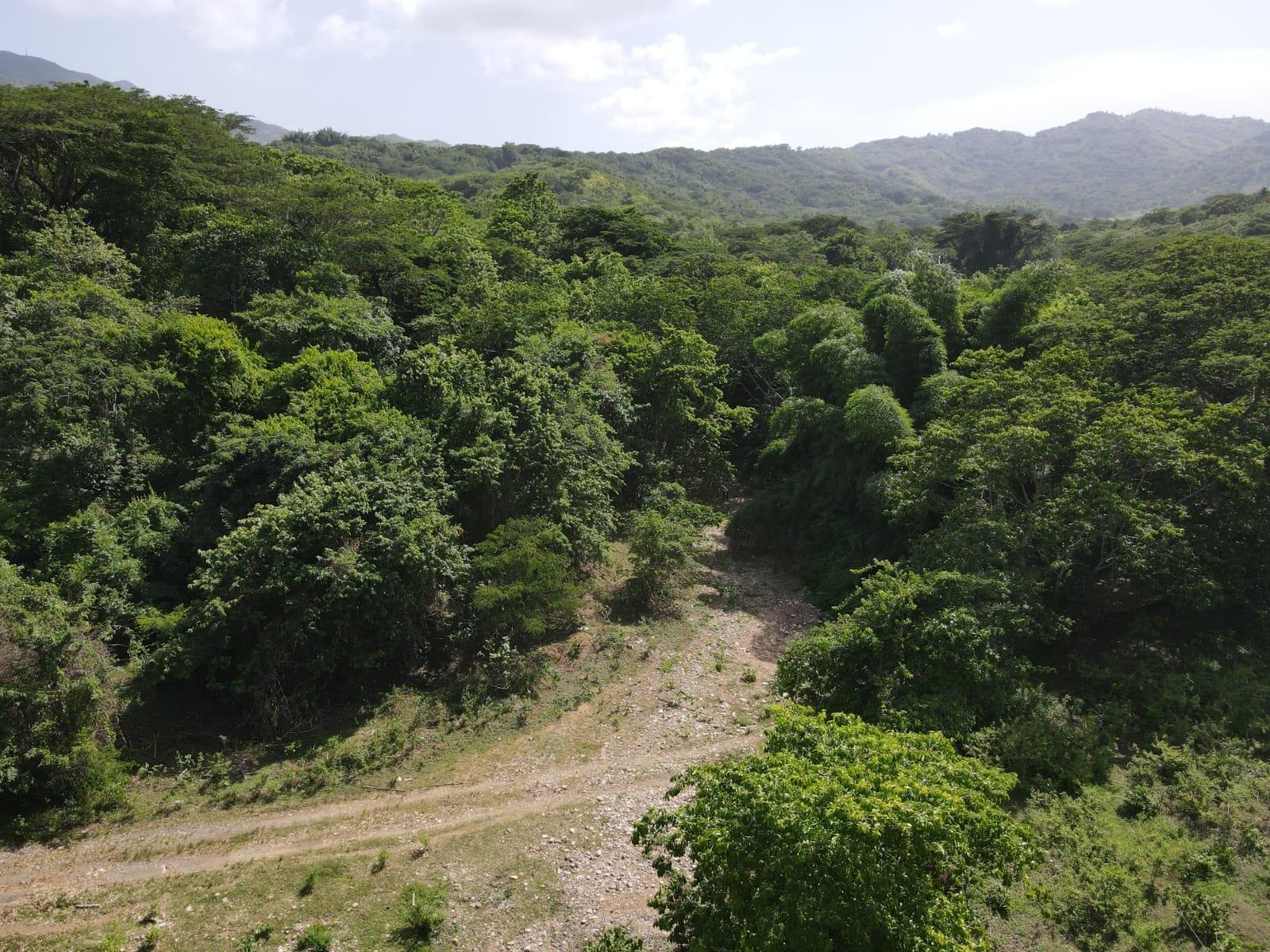 Third image of 15 Blue Mtn. Danvers Pen in Danvers Pen, St. Thomas, Jamaica - property is For Sale