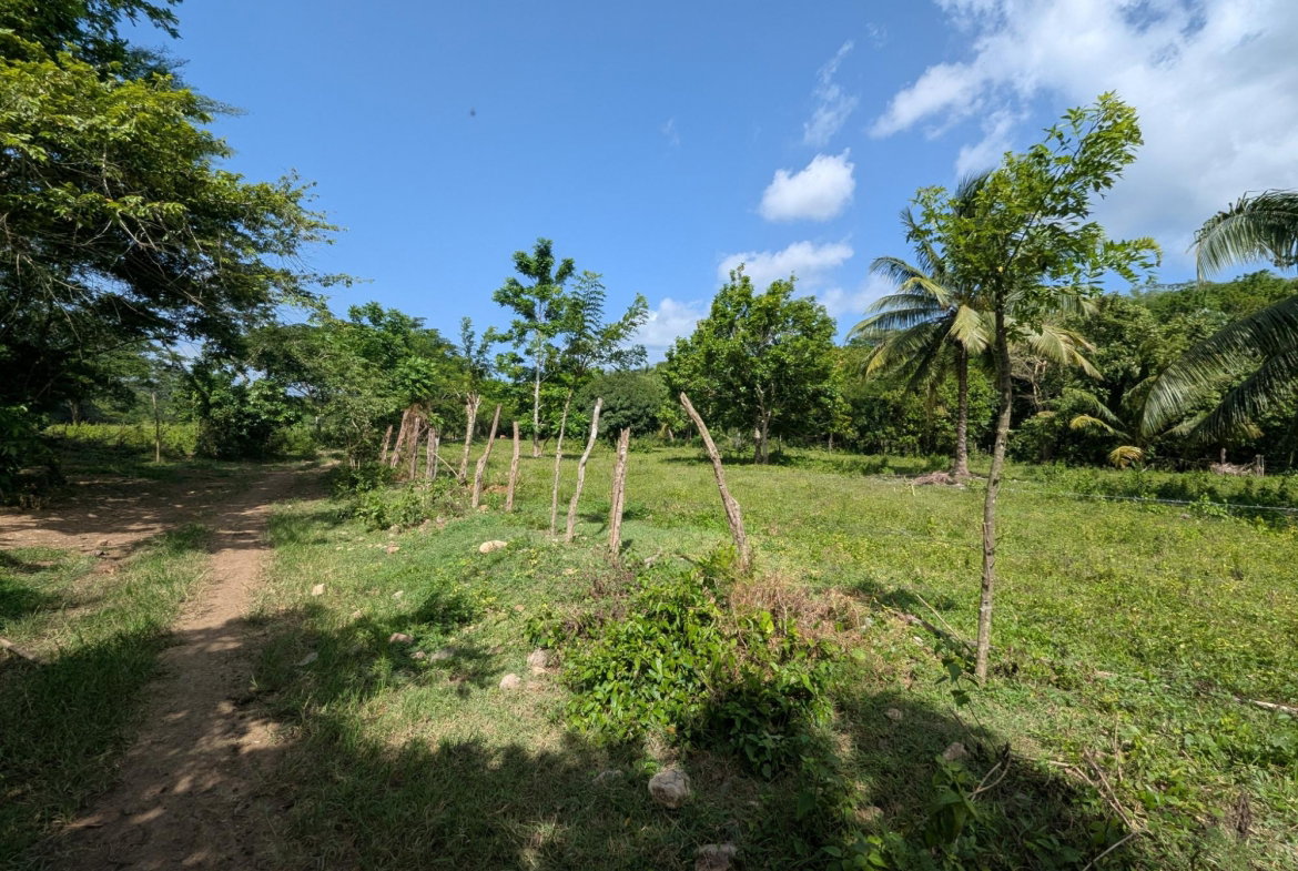 Twenty-First image of 15 Blue Mtn. Danvers Pen in Danvers Pen, St. Thomas, Jamaica - property is For Sale