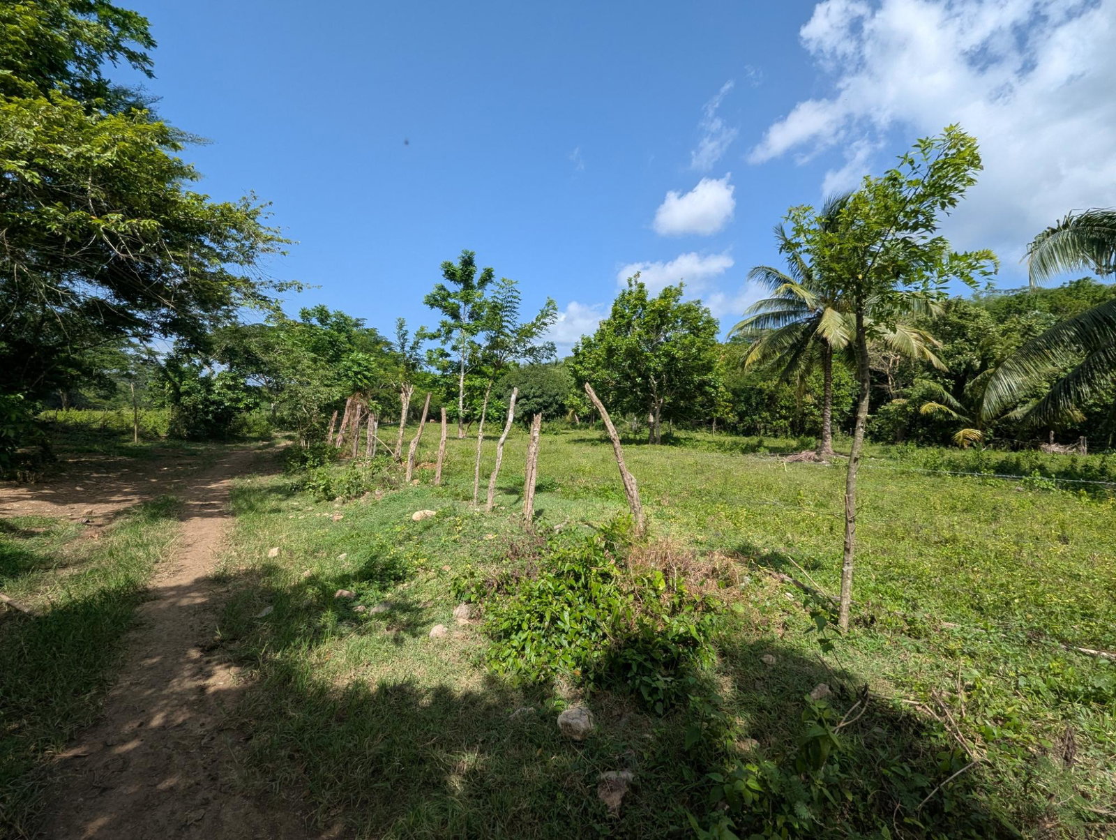 27.75-Acres-Development-Land-for-Sale-in-St.-Thomas-Jamaica-–-Ideal-Farming-Opportunity Twenty-First image of 15 Blue Mtn. Danvers Pen in Danvers Pen, St. Thomas, Jamaica - property is For Sale