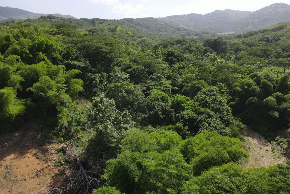 Twenty-Second image of 15 Blue Mtn. Danvers Pen in Danvers Pen, St. Thomas, Jamaica - property is For Sale
