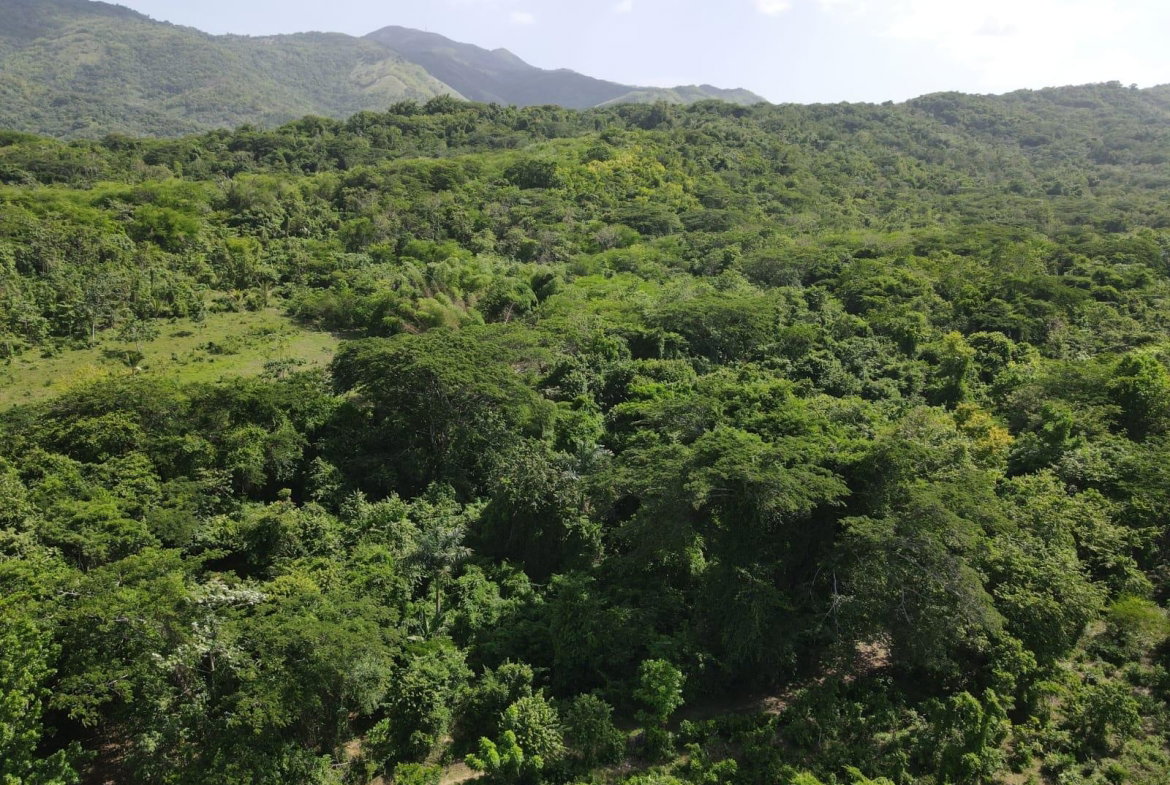 Twenty-Third image of 15 Blue Mtn. Danvers Pen in Danvers Pen, St. Thomas, Jamaica - property is For Sale