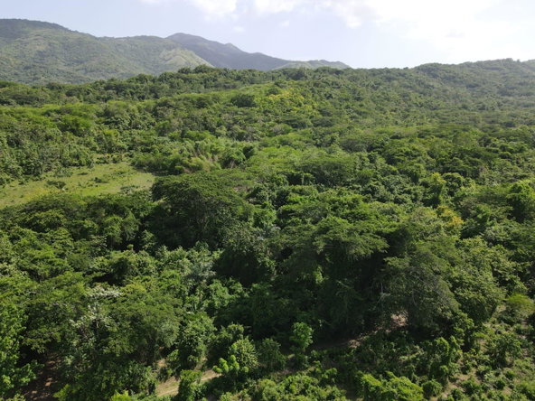 Twenty-Third image of 15 Blue Mtn. Danvers Pen in Danvers Pen, St. Thomas, Jamaica - property is For Sale
