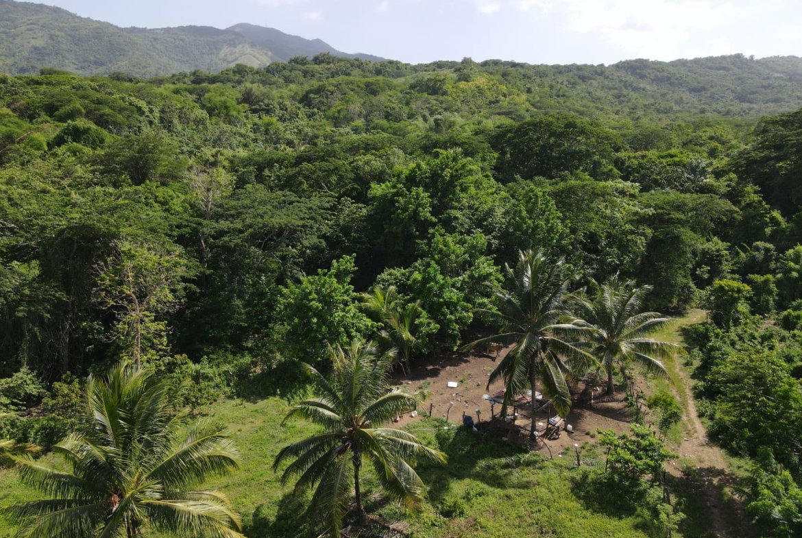 Twenty-Fourth image of 15 Blue Mtn. Danvers Pen in Danvers Pen, St. Thomas, Jamaica - property is For Sale