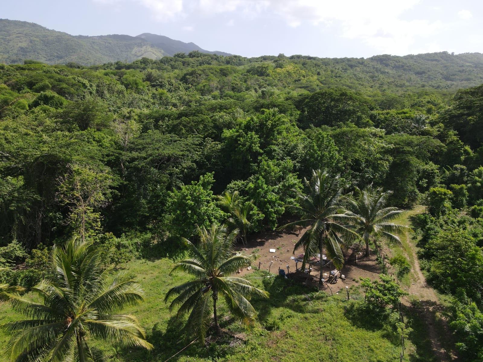 27.75-Acres-Development-Land-for-Sale-in-St.-Thomas-Jamaica-–-Ideal-Farming-Opportunity Twenty-Fourth image of 15 Blue Mtn. Danvers Pen in Danvers Pen, St. Thomas, Jamaica - property is For Sale