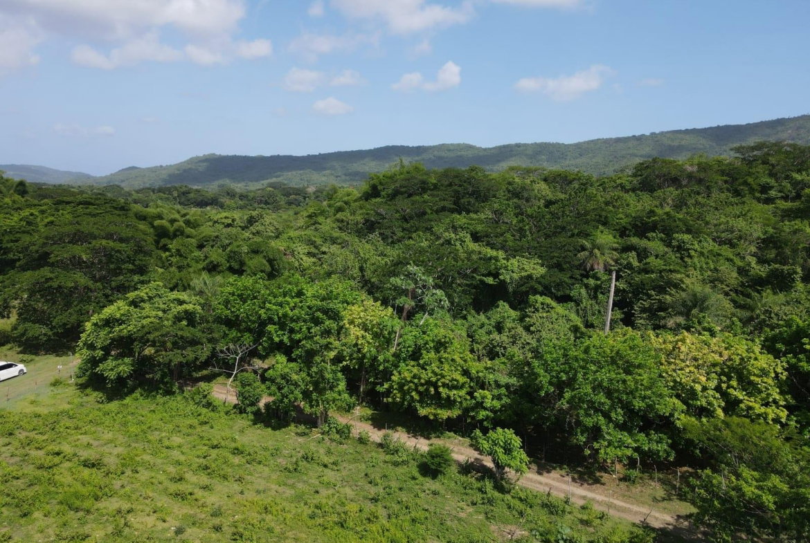 Twenty-Fifth image of 15 Blue Mtn. Danvers Pen in Danvers Pen, St. Thomas, Jamaica - property is For Sale