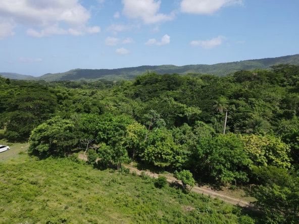 Twenty-Fifth image of 15 Blue Mtn. Danvers Pen in Danvers Pen, St. Thomas, Jamaica - property is For Sale
