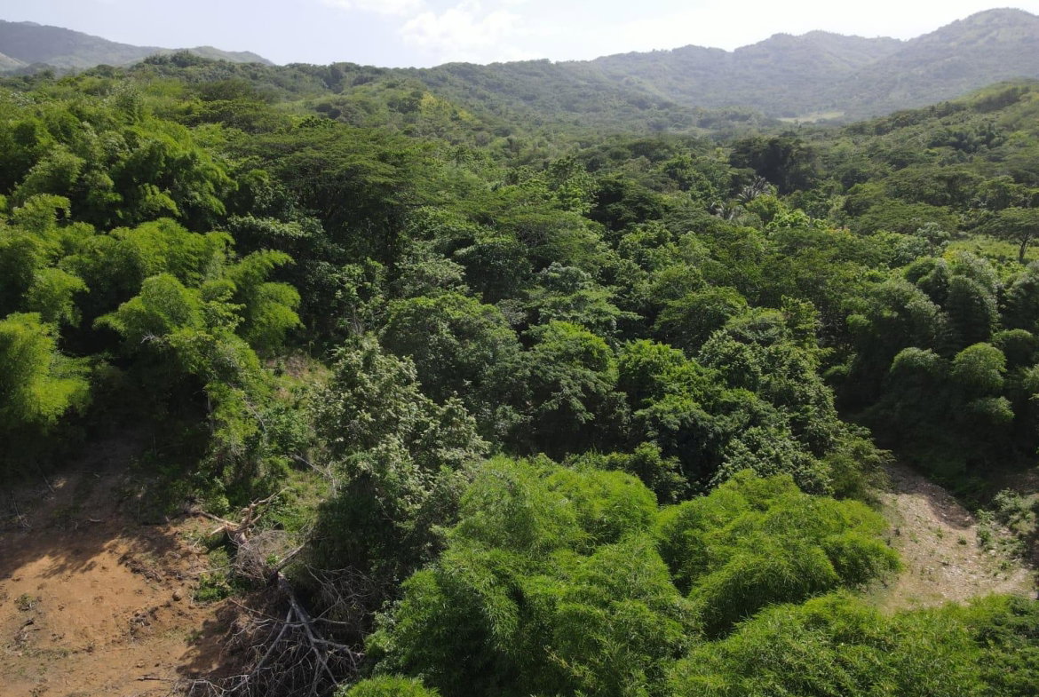 Twenty-Seventh image of 15 Blue Mtn. Danvers Pen in Danvers Pen, St. Thomas, Jamaica - property is For Sale