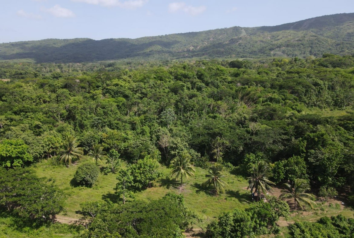 Twenty-Eighth image of 15 Blue Mtn. Danvers Pen in Danvers Pen, St. Thomas, Jamaica - property is For Sale