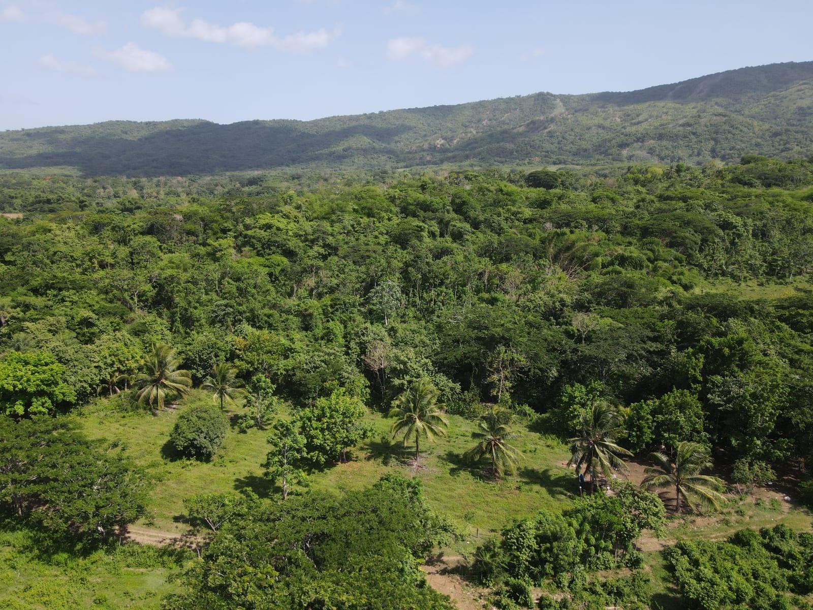 27.75-Acres-Development-Land-for-Sale-in-St.-Thomas-Jamaica-–-Ideal-Farming-Opportunity Twenty-Eighth image of 15 Blue Mtn. Danvers Pen in Danvers Pen, St. Thomas, Jamaica - property is For Sale
