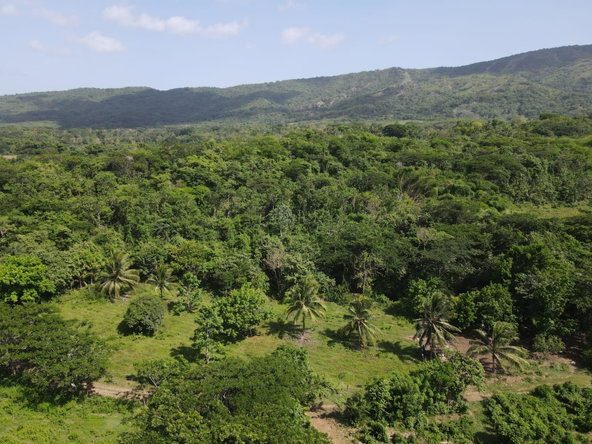Twenty-Eighth image of 15 Blue Mtn. Danvers Pen in Danvers Pen, St. Thomas, Jamaica - property is For Sale