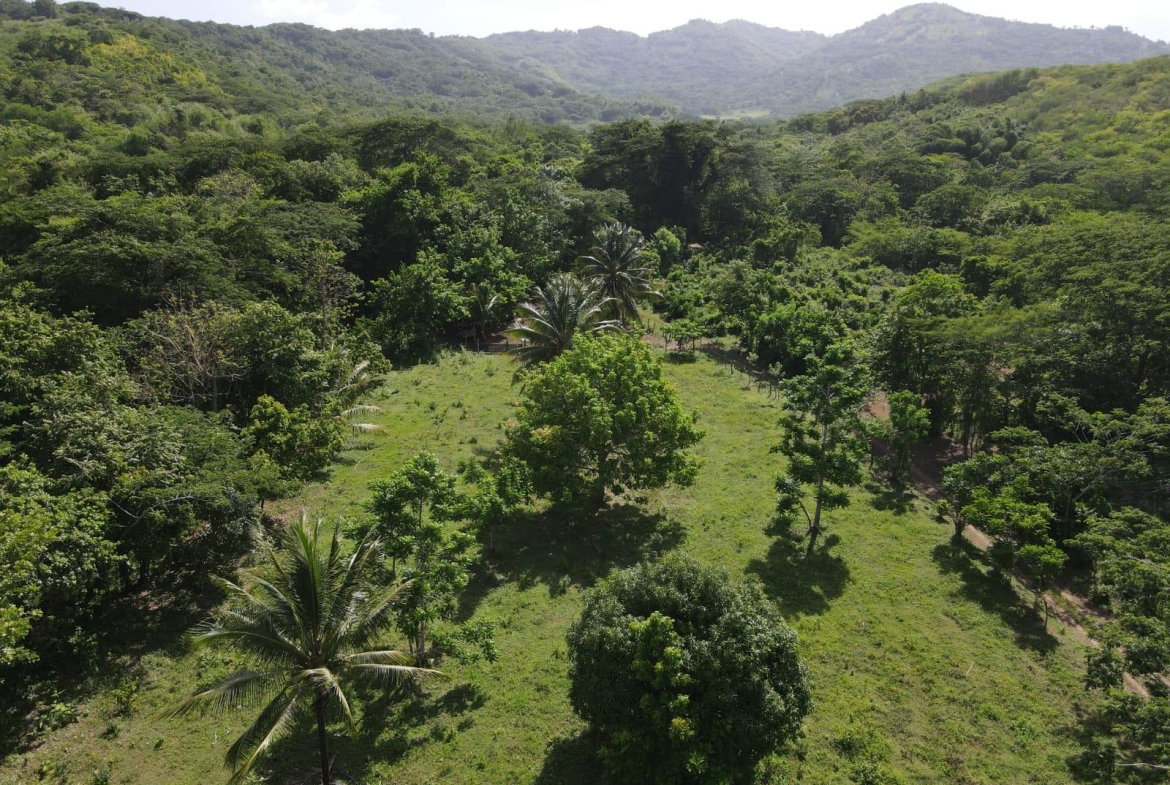 Twenty-Ninth image of 15 Blue Mtn. Danvers Pen in Danvers Pen, St. Thomas, Jamaica - property is For Sale