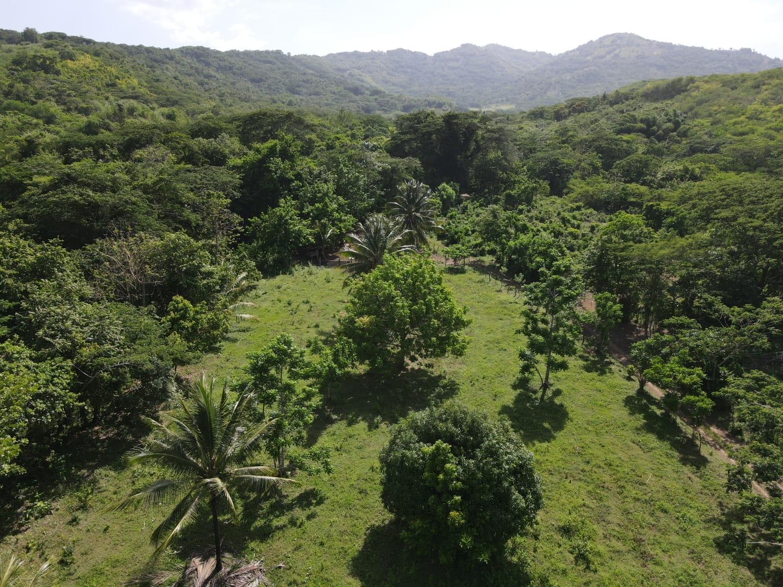 27.75-Acres-Development-Land-for-Sale-in-St.-Thomas-Jamaica-–-Ideal-Farming-Opportunity Twenty-Ninth image of 15 Blue Mtn. Danvers Pen in Danvers Pen, St. Thomas, Jamaica - property is For Sale
