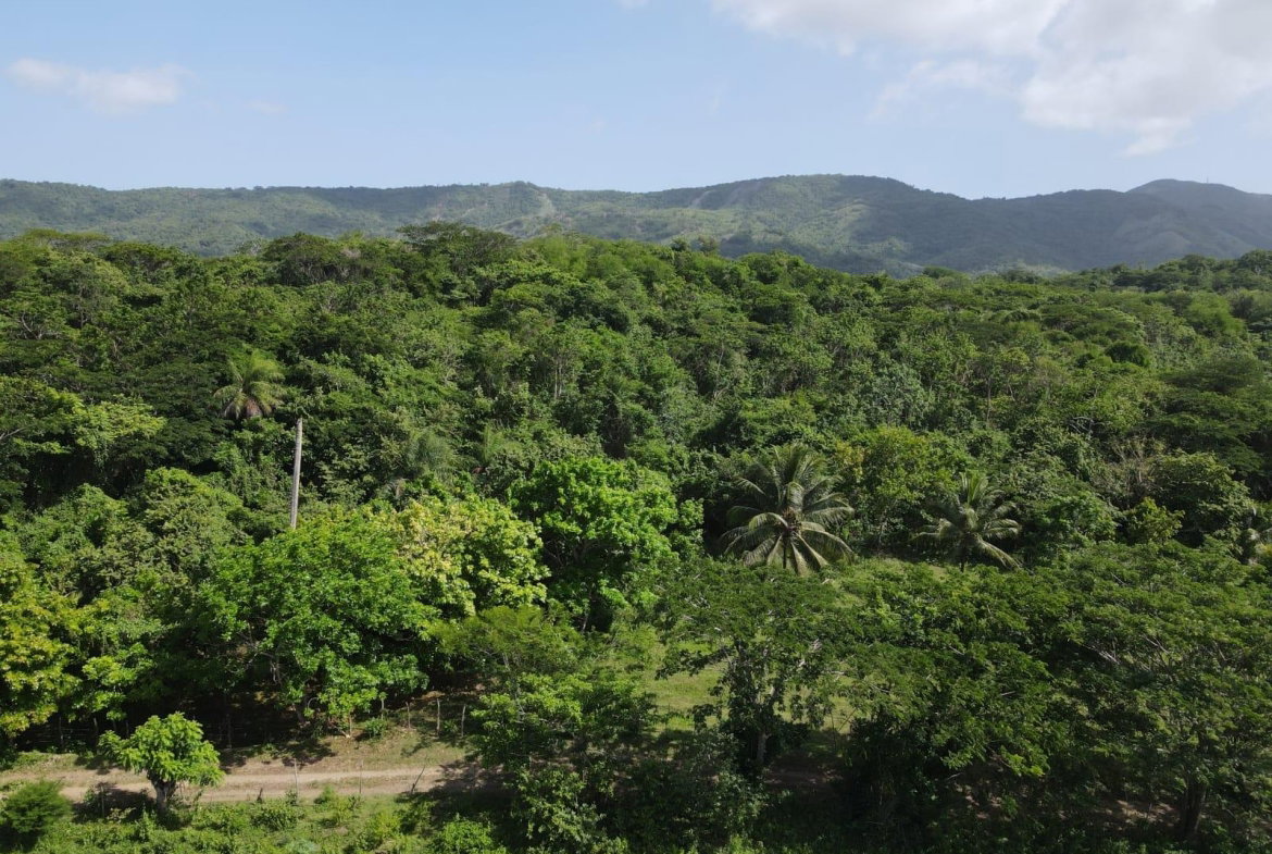 Thirtieth image of 15 Blue Mtn. Danvers Pen in Danvers Pen, St. Thomas, Jamaica - property is For Sale