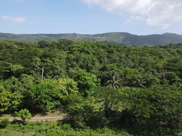 Thirtieth image of 15 Blue Mtn. Danvers Pen in Danvers Pen, St. Thomas, Jamaica - property is For Sale