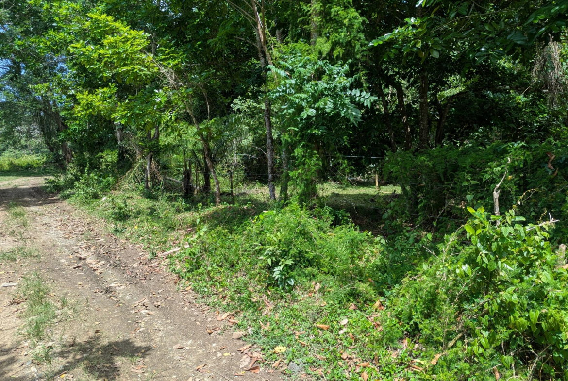Fourth image of 15 Blue Mtn. Danvers Pen in Danvers Pen, St. Thomas, Jamaica - property is For Sale