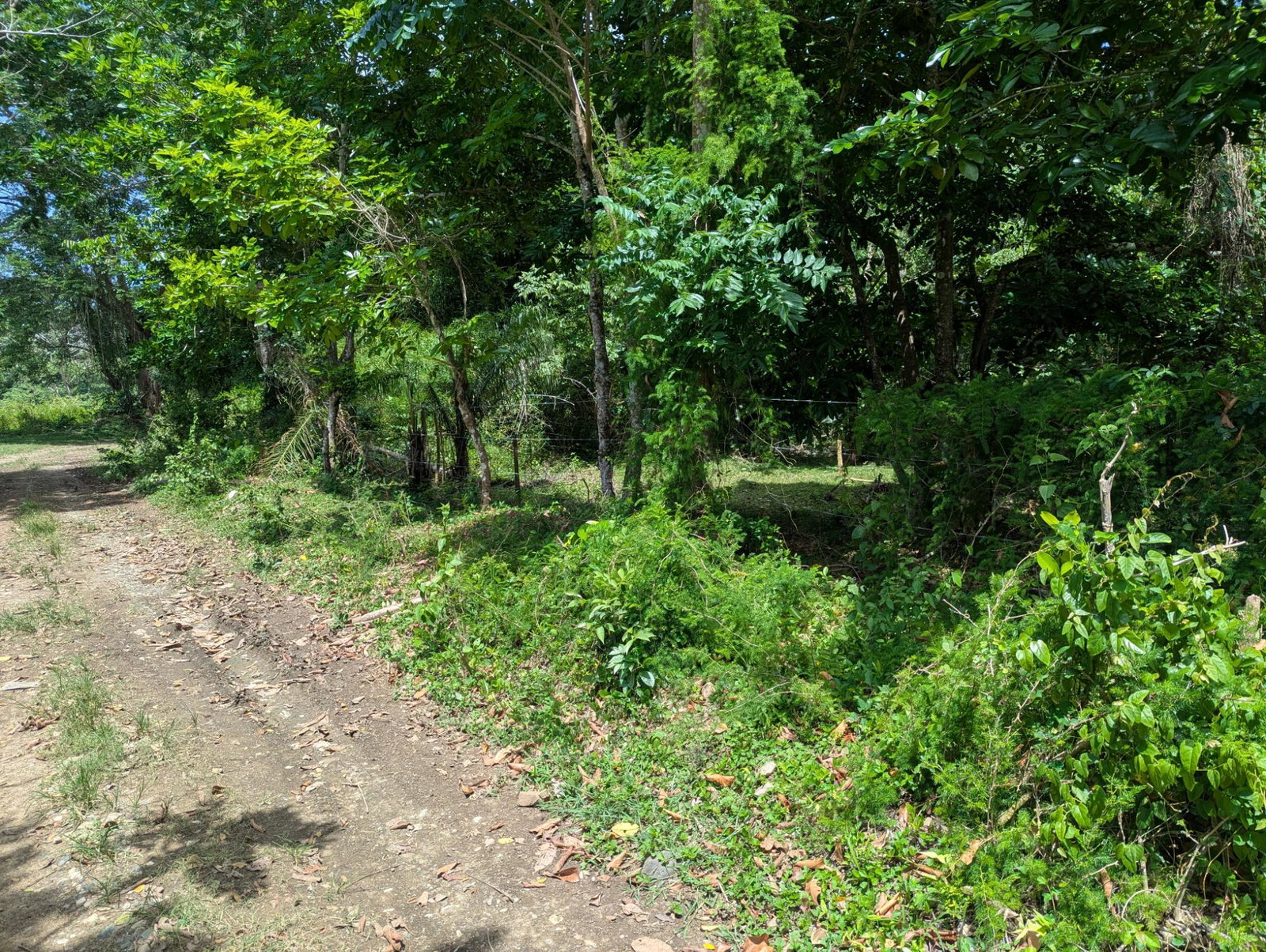 Fourth image of 15 Blue Mtn. Danvers Pen in Danvers Pen, St. Thomas, Jamaica - property is For Sale